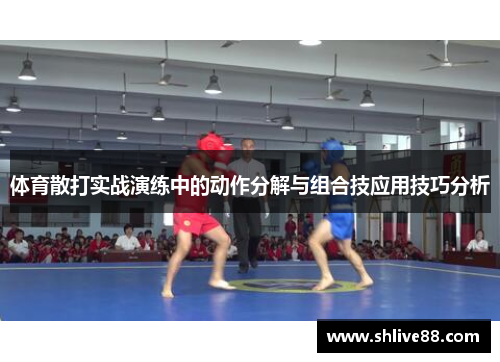 体育散打实战演练中的动作分解与组合技应用技巧分析
